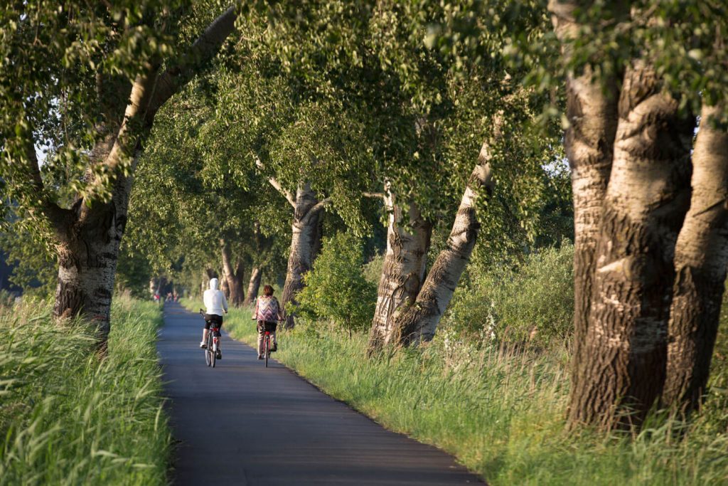 Jan-Reiners-Weg mit Bäumen links und rechts und einem asphaltierten Rad- und Fußgängerweg.